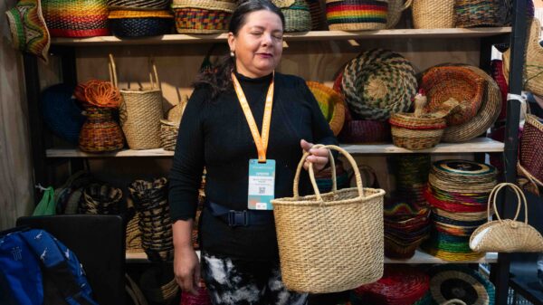 NELCY LEONOR LEÓN RINCÓN