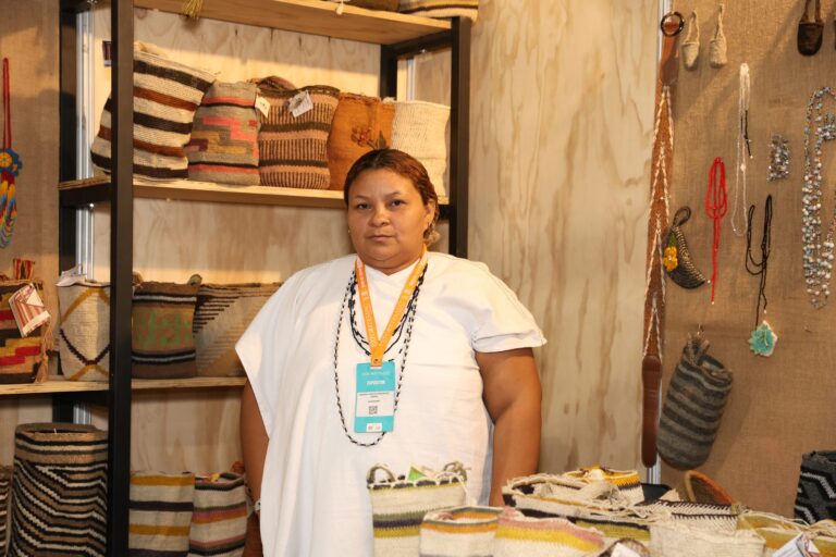 Ingris Pacheco
