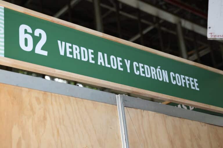 Verde Aloe