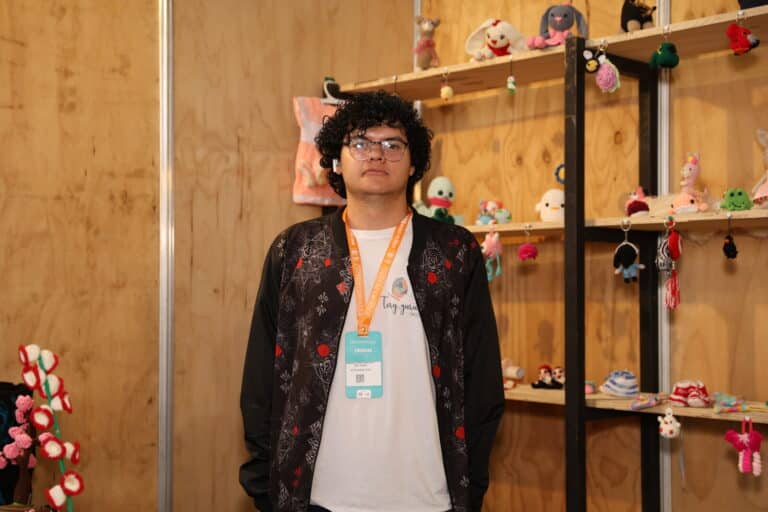 Artesanías Tory Gurumis